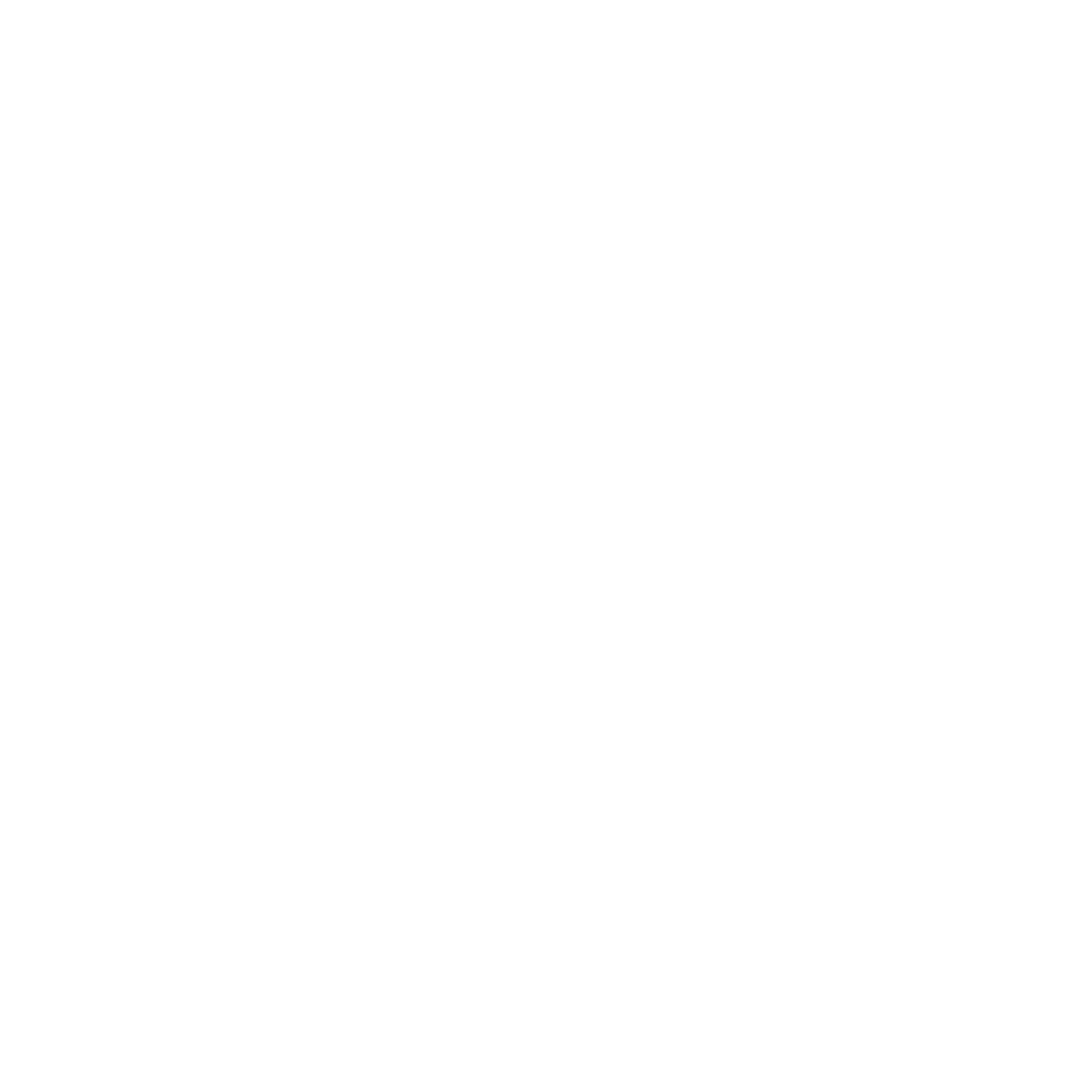 Fulcrum Autonomy Fulcrum Autonomy - Silent Ventures