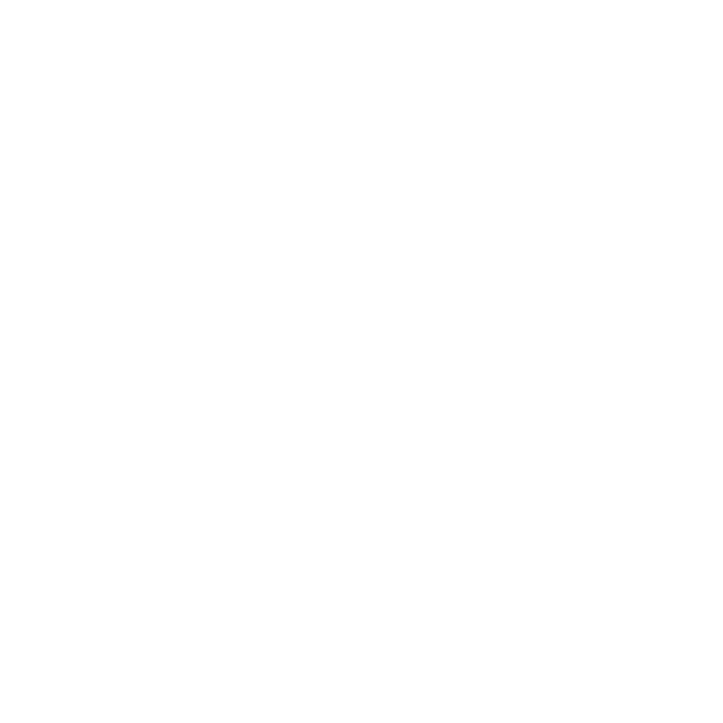 Furientis Furientis - Silent Ventures