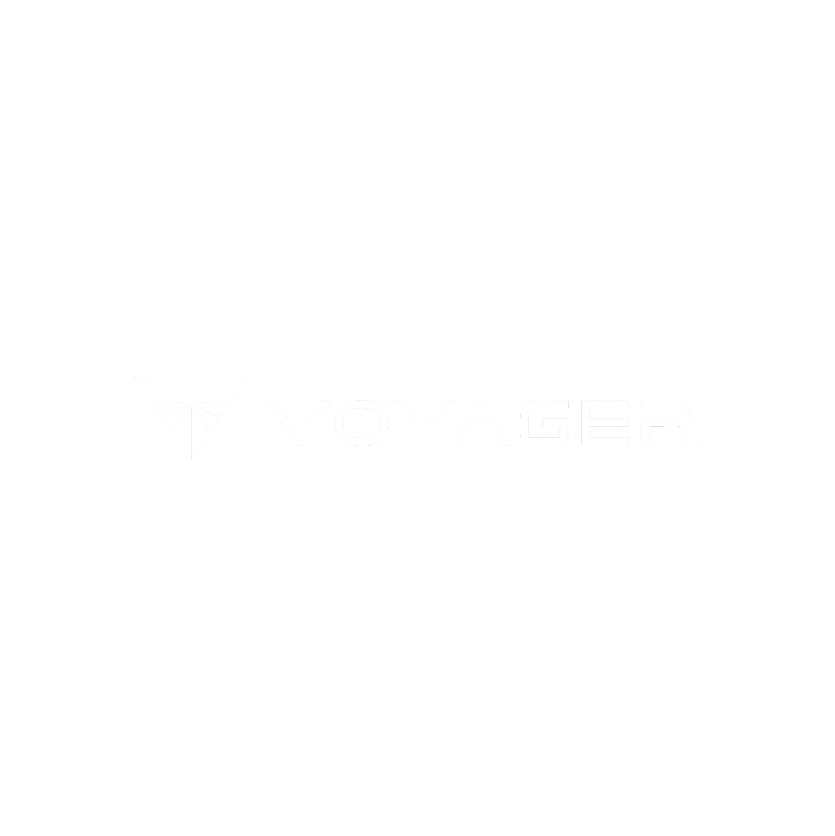 Voyager Technologies - Silent Ventures