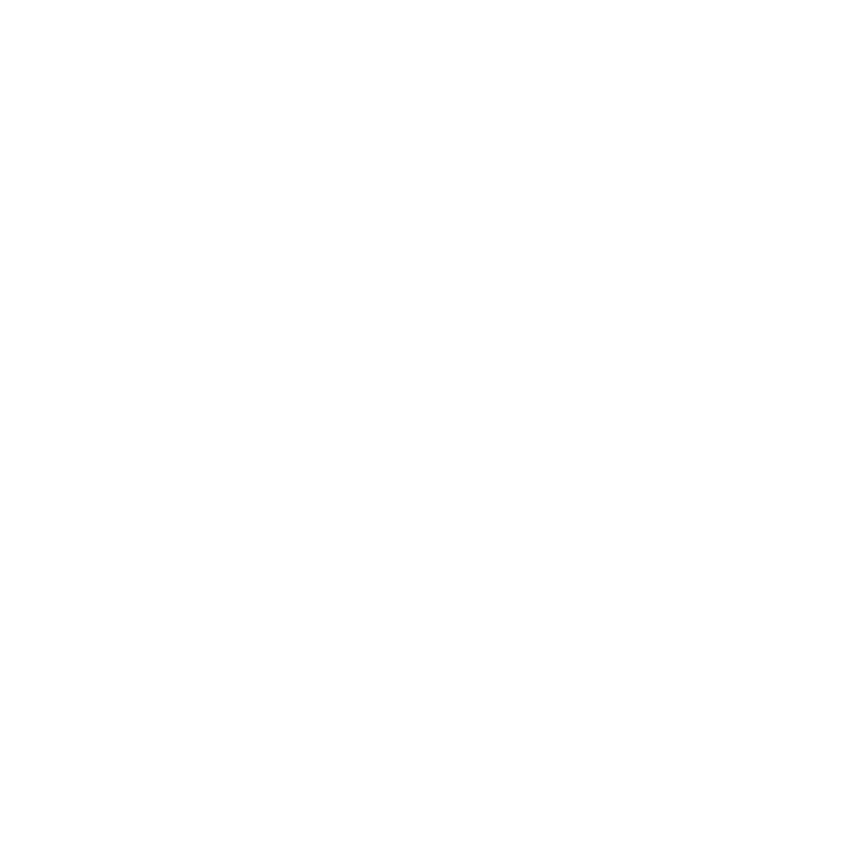 Invisible AI - Silent Ventures