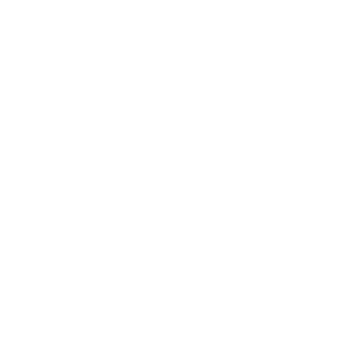 Swan - Silent Ventures