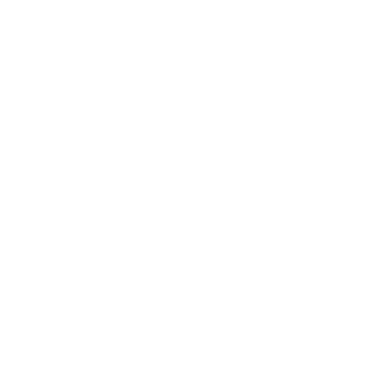 Swan - Silent Ventures