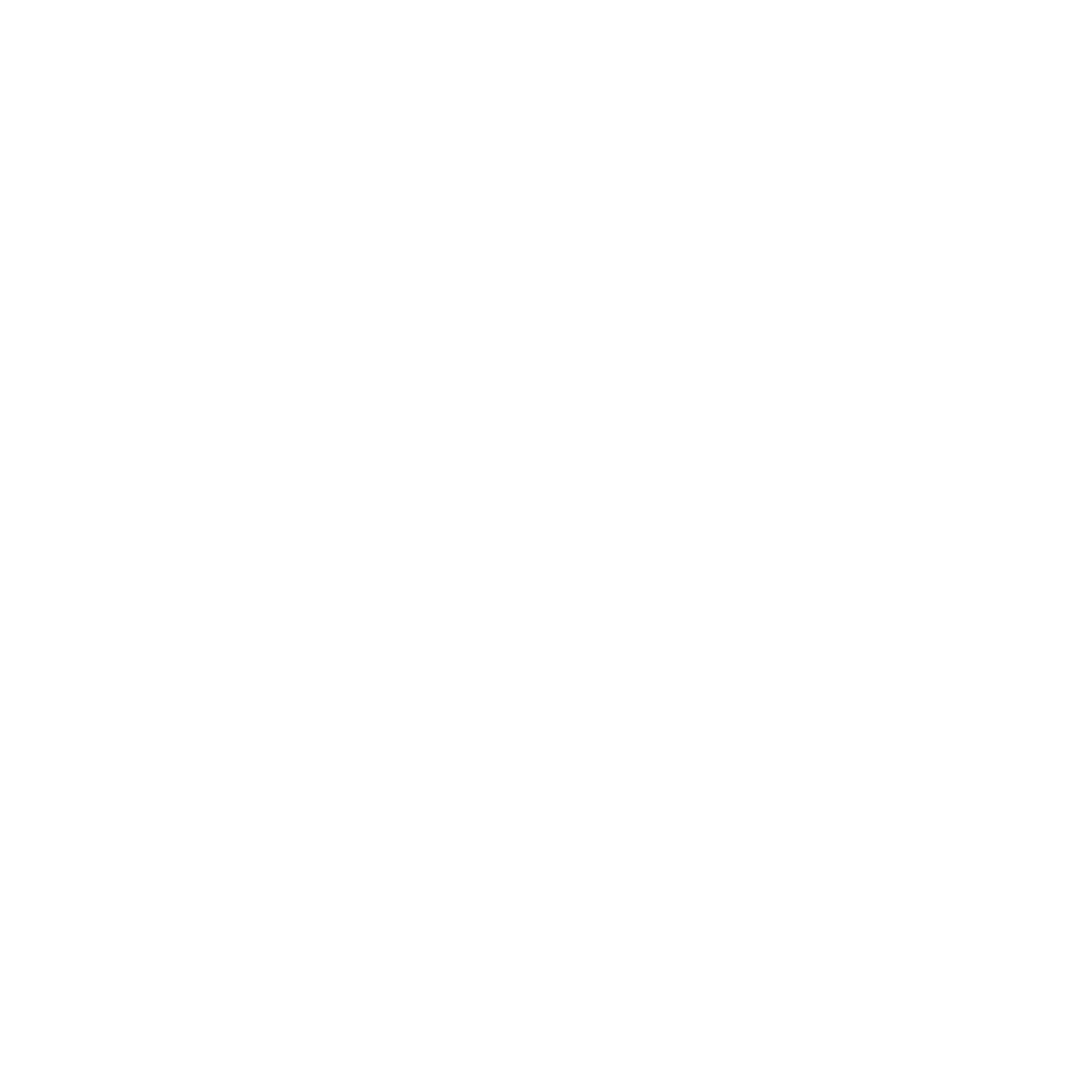 Radian Aerospace - Silent Ventures