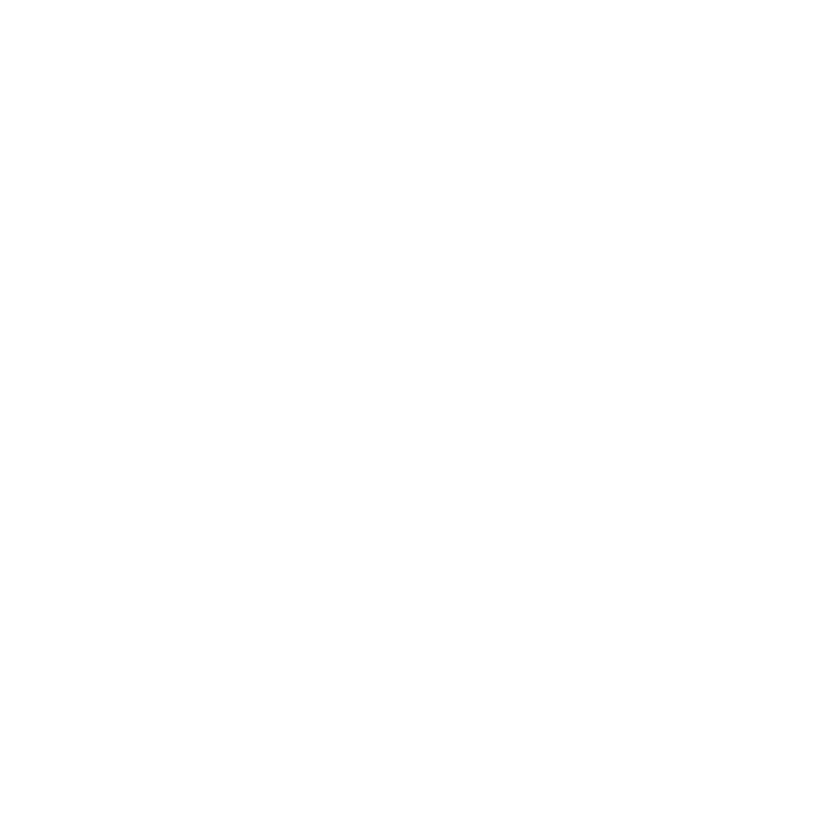 North Vector Dynamics North Vector Dynamics - Silent Ventures
